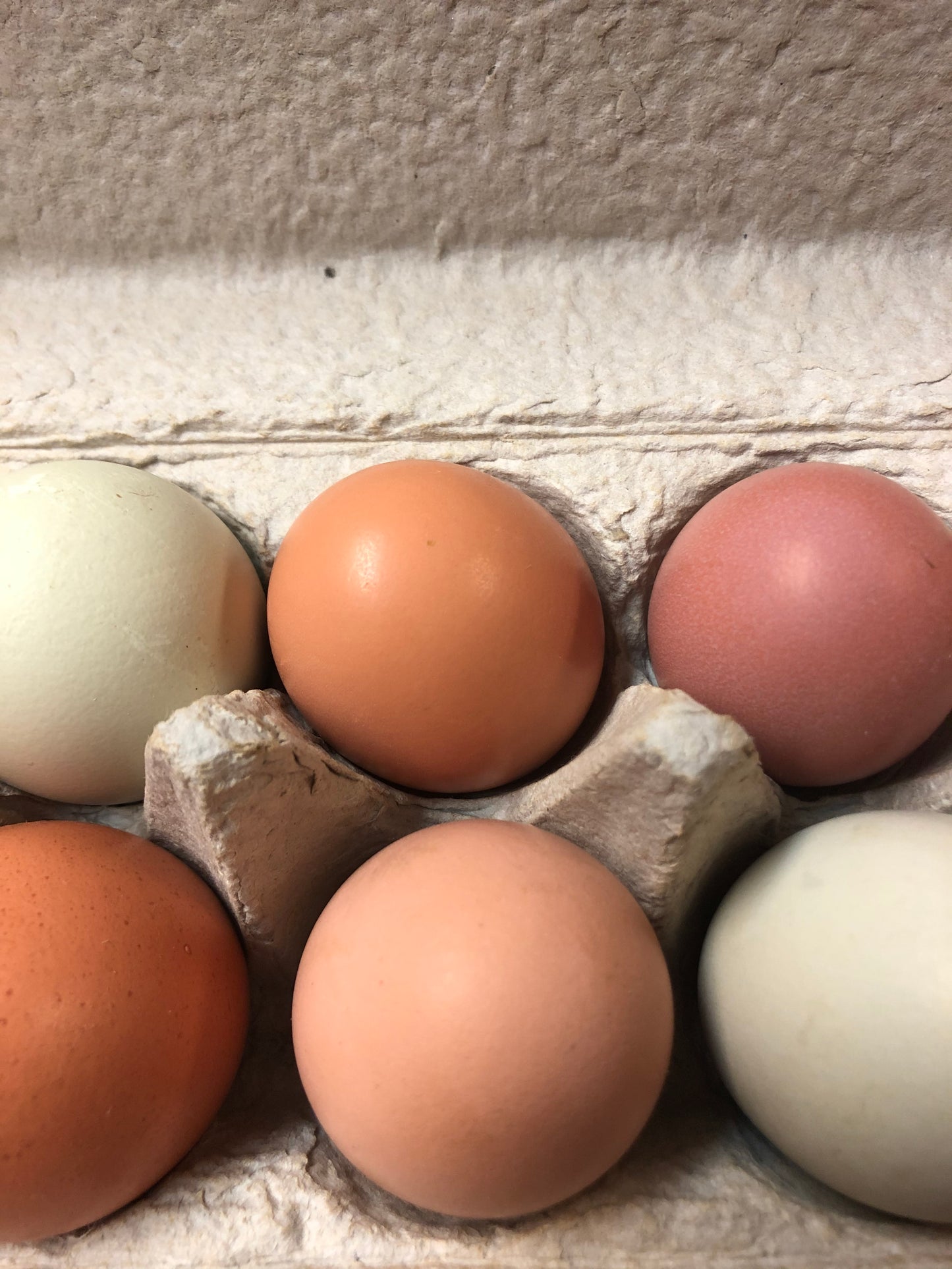 1 dozen farm fresh eggs